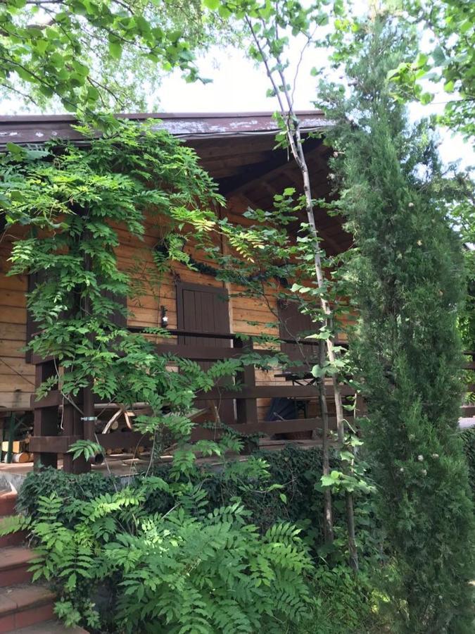 Etna Baite Milo Villa Dış mekan fotoğraf